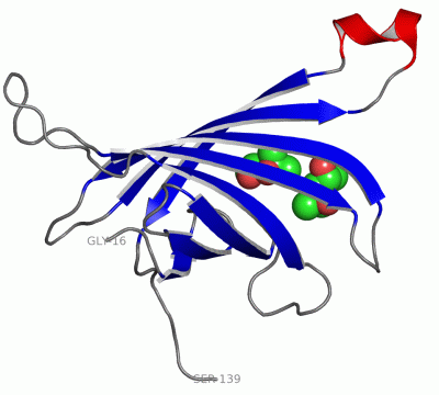 Image Asym.Unit - manually