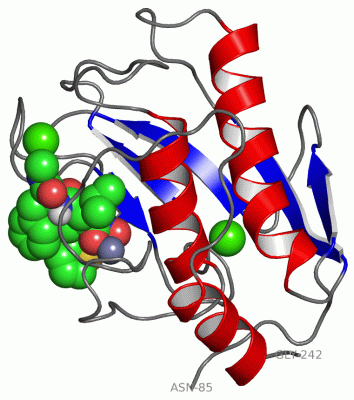 Image Asym./Biol. Unit - manually