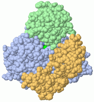 Image Biol.Unit 1 - manually