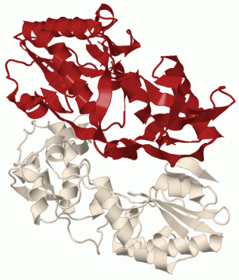 Image Biol.Unit 1 - manually