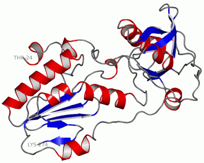Image Asym.Unit - manually