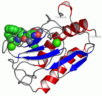 Image Asym./Biol. Unit - manually