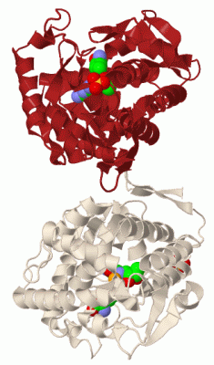 Image Biol.Unit 1 - manually