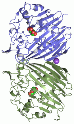 Image Asym./Biol. Unit - manually