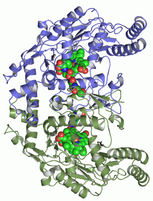 Image Asym./Biol. Unit - manually