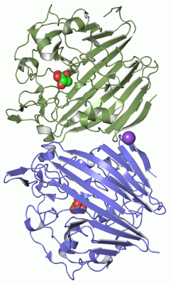 Image Asym./Biol. Unit - manually