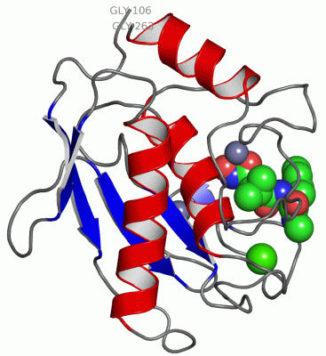 Image Asym./Biol. Unit - manually