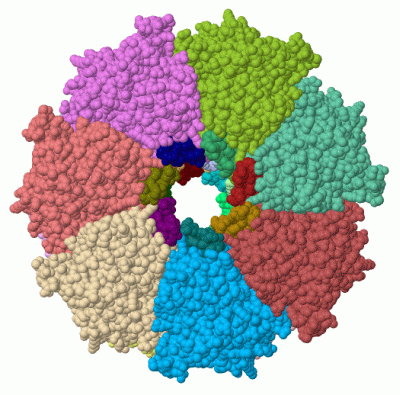 Image Asym./Biol. Unit - manually