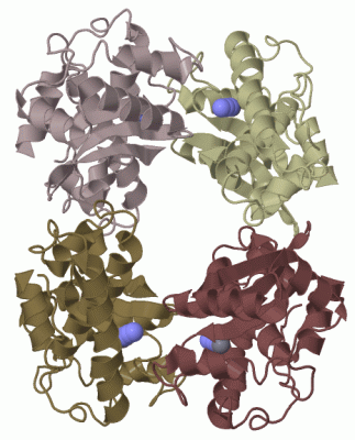 Image Biol.Unit 1 - manually