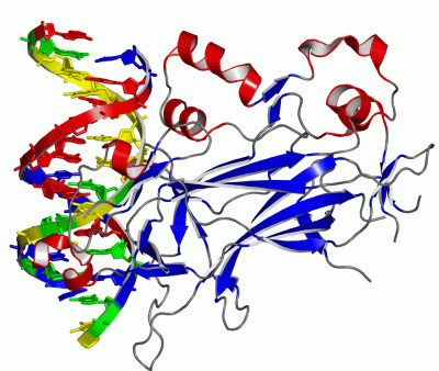 Image Asym./Biol. Unit - manually
