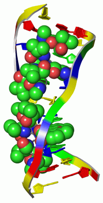 Image Asym./Biol. Unit - manually