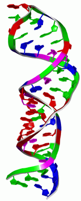 Image NMR Structure - manually