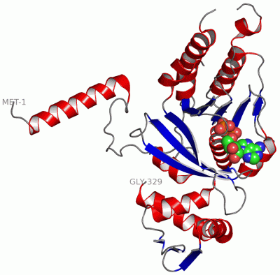 Image Asym./Biol. Unit - manually