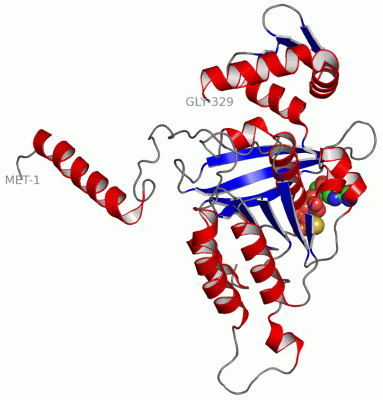 Image Asym./Biol. Unit - manually