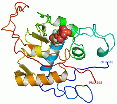 Image NMR Structure - manually