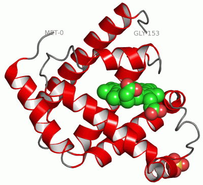 Image Asym./Biol. Unit - manually