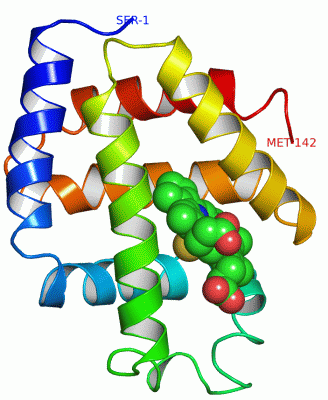 Image Asym./Biol. Unit - manually