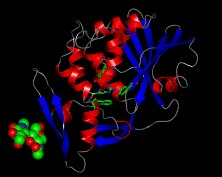 Image Asym./Biol. Unit - manually