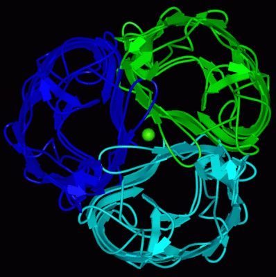 Image Asym./Biol. Unit - manually
