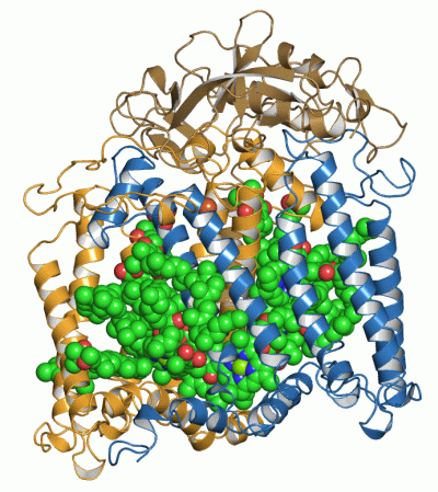 Image Asym./Biol. Unit - manually