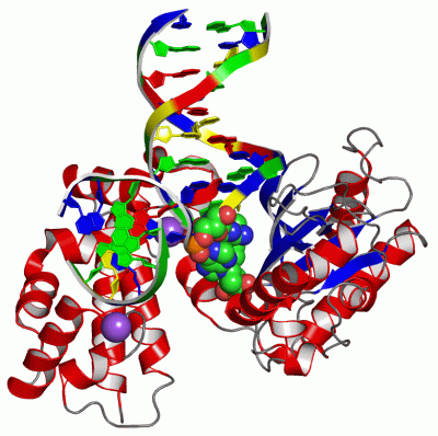 Image Asym./Biol. Unit - manually