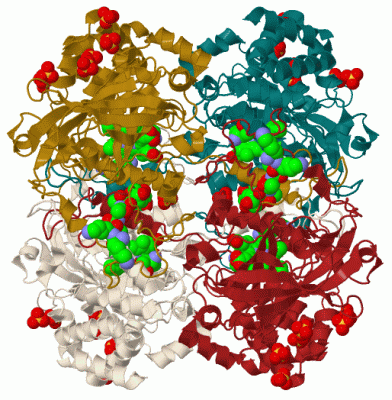 Image Biol.Unit 1 - manually