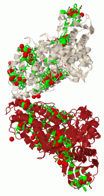 Image Biol.Unit 1 - manually