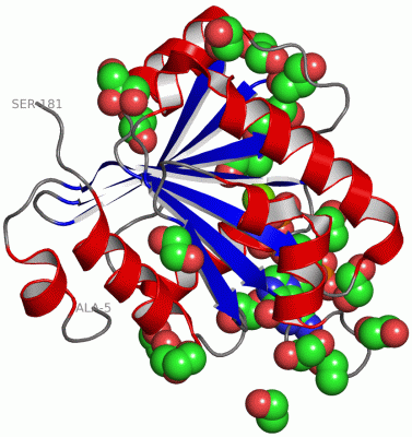 Image Asym./Biol. Unit - manually