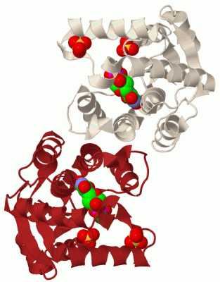 Image Biol.Unit 1 - manually