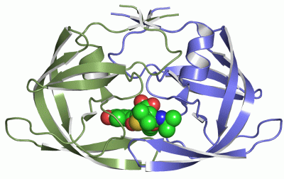 Image Asym./Biol. Unit - manually