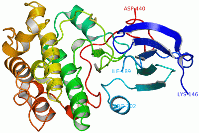 Image Asym./Biol. Unit - manually