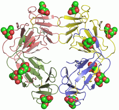 Image Asym./Biol. Unit - manually