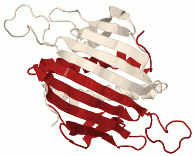 Image Biol.Unit 1 - manually