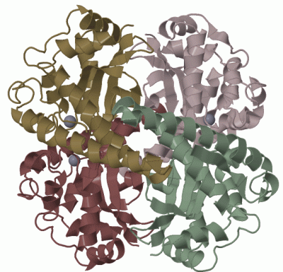 Image Biol.Unit 1 - manually