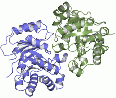 Image Asym./Biol. Unit - manually