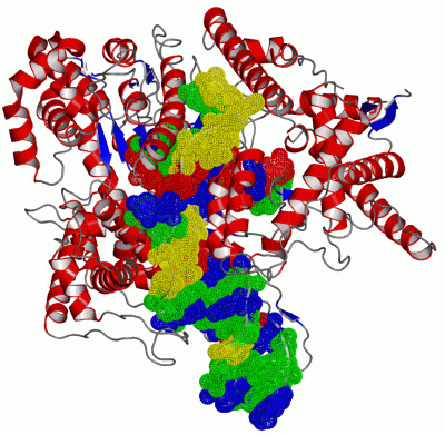 Image Asym./Biol. Unit - manually