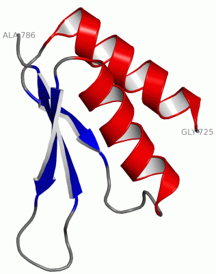 Image NMR Structure - manually