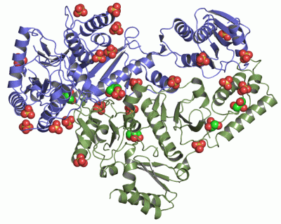 Image Asym./Biol. Unit - manually
