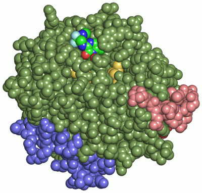 Image Asym./Biol. Unit - manually