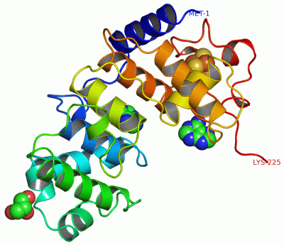 Image Asym./Biol. Unit - manually