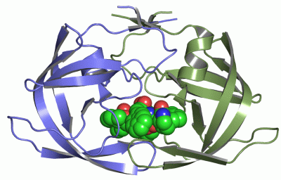 Image Asym./Biol. Unit - manually