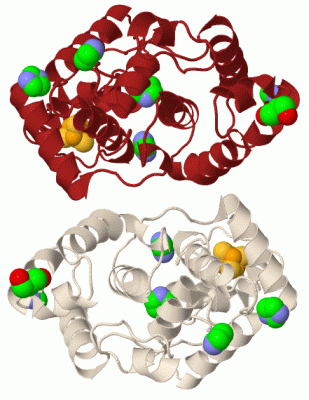 Image Biol.Unit 1 - manually