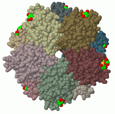 Image Asym.Unit - manually