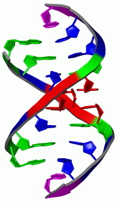 Image NMR Structure - manually