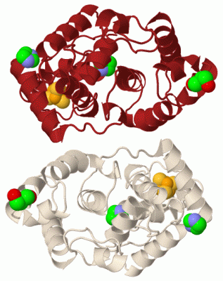 Image Biol.Unit 1 - manually