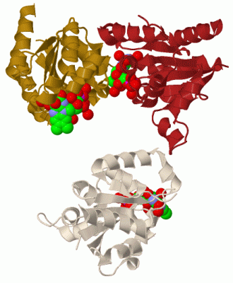 Image Biol.Unit 1 - manually