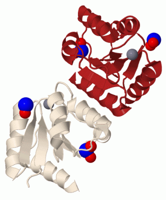 Image Biol.Unit 1 - manually