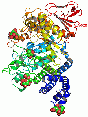 Image Asym./Biol. Unit - manually