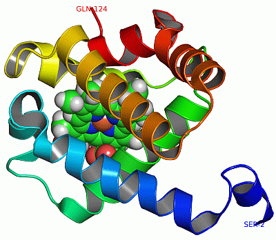 Image NMR Structure - manually