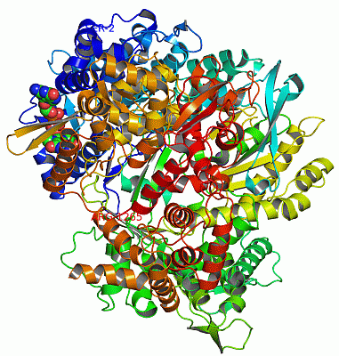 Image Asym./Biol. Unit - manually